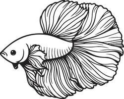 Betta Splendens Fish Sketch Drawing. vector