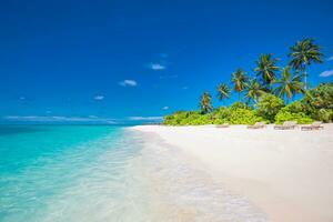 Paradise island beach. Tropical landscape of summer scenery, sea sand sky palm trees. Luxury travel vacation destination. Exotic beach landscape. Amazing nature, relax, freedom nature concept Maldives photo