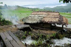 Local hut and homestay village on terraced Paddy rice fields on mountain in the countryside, Chiangmai Province of Thailand. Travel in greenery tropical rainy season concept photo