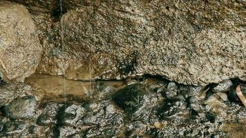cerca arriba de agua chapoteo dentro el Roca en natural bosque, agua gotas que cae abajo en rocas video