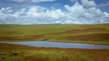 View at Nyika National park in Malawi photo