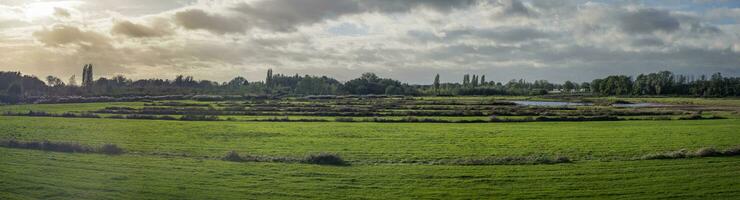 Panorama view over the grasslands of nature park Gentbrugse Meersen near Ghent in Belgium. photo