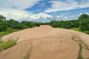 Dry river in South Luangwa national park in Zambia photo