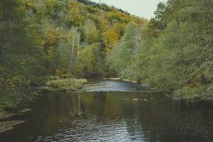 View on the river Ourthe in the Belgian national park Two Ourthes in the Ardennes of Wallonia, Belgium during autumn photo