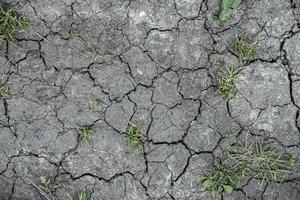 Drought causing cracks in the soil as a result of climate change photo