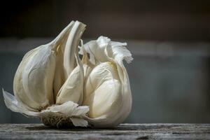 Close-up of Garlic, Allium sativum, used for food flavoring photo