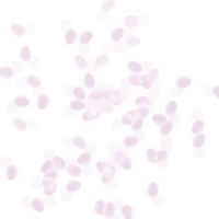 Colorful confetti on a transparent background. Event and party celebration elements. png