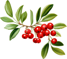 AI generated cranberries cranberry berries fruit food png