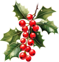 AI generated Holly leaf with red berries png