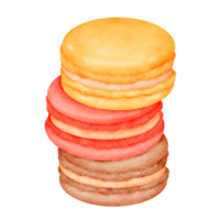 Macaron cartoon watercolor png