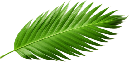 AI generated green palm tree png