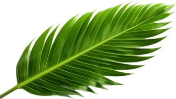 AI generated green palm tree png