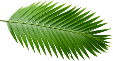 AI generated green palm tree png