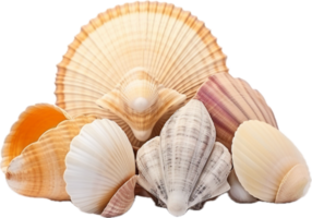 ai généré mer coquilles png