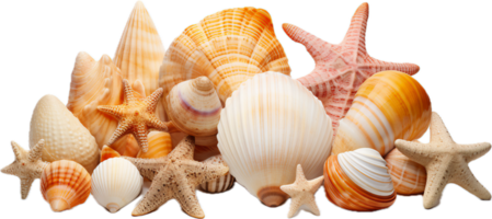 ai généré mer coquilles png