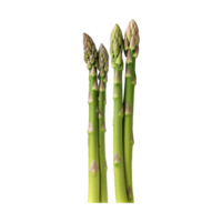 AI generated Fresh asparagus vegetable on transparent backgroun png