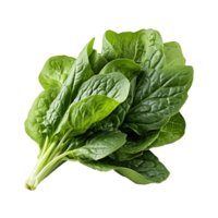 AI generated Fresh spinach leaves isolated on transparent background png