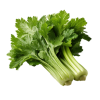 AI generated Fresh celery on transparent background png