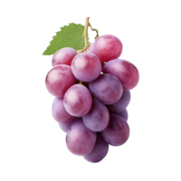 ai gerado fresco uva em transparente fundo png