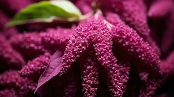 AI generated Amaranth flowers in various shades of pink. Perfect for backgrounds, wallpapers, or as a design element photo