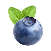 AI generated Fresh blueberries with leaves isolated on transparent background png