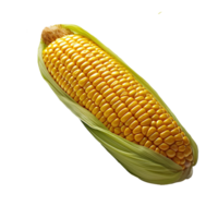 AI generated Corn vegetable on transparent background png