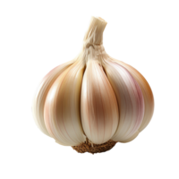 ai generiert frisch Knoblauch auf transparent Hintergrund png