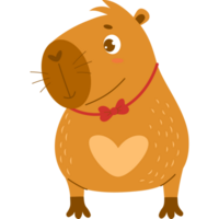 süß Capybara Junge png