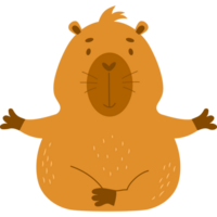 capivara faz ioga png