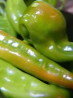 Hatch chile peppers prepared for roasting photo