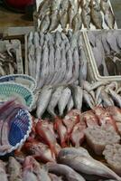 variedad de Mariscos en el pescado mercado foto