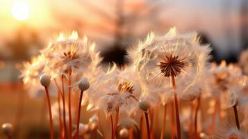 ai generado de cerca de un diente de león en lleno floración con suave melocotón pelusa alrededores, delicado, y vibrante naturaleza, capturar el esencia de verano, generado por ai foto