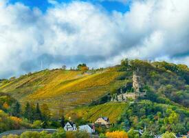 Furstenberg Castle Rheindiebach on the Rhine River photo