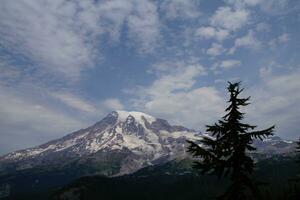 Mt. Rainier, with conifer forest photo