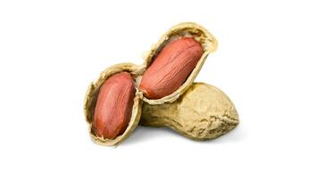 Organic Roasted Peanuts. Isolated Nut Snack Concept. Healthy, Delicious, and Crunchy Seeds photo