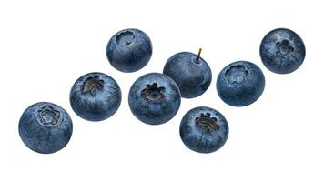 Fresh Blueberries. Organic, Juicy and Nutritious Fruit Isolated on White Background. Healthy Snacks Concept and Antioxidant-Rich Nutrition photo