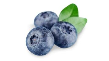 Fresh Blueberries. Organic, Juicy and Nutritious Fruit Isolated on White Background. Healthy Snacks Concept and Antioxidant-Rich Nutrition photo