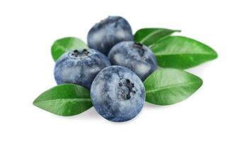 Fresh Blueberries. Organic, Juicy and Nutritious Fruit Isolated on White Background. Healthy Snacks Concept and Antioxidant-Rich Nutrition photo