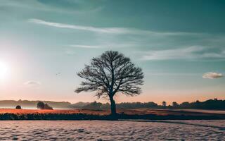 ai generado sereno soledad, majestuoso solitario árbol en un cobija de Nevado esplendor foto