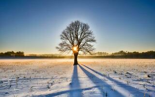 ai generado sereno soledad, majestuoso solitario árbol en un cobija de Nevado esplendor foto