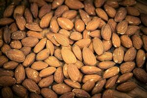 fresh brown almonds prunus dulcis for baking photo