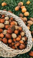 AI generated Crunchy Bounty A Basket of Fresh Nuts photo