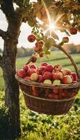 AI generated Autumn Harvest Symphony A Bounty of Juicy Apples photo