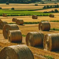 AI generated Harvested Beauty A Symphony of Straw in the Countryside photo