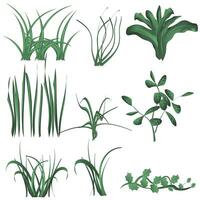 Grass and Bush Set vector