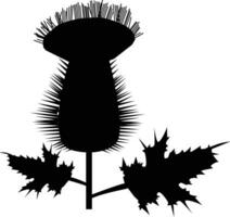 cardo icono. cirsium cardo signo. flor Leche símbolo. Escocia planta logo. plano estilo. vector