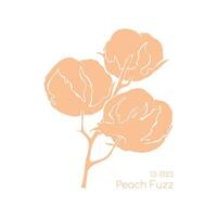 Cotton branch color Peach fuzz 13-1023 trend 2024 with cotton bolls, hand drawn black silhouette of plant flower. Isolated, white background. vector