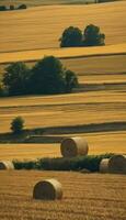 AI generated Harvested Beauty A Symphony of Straw in the Countryside photo