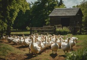 AI generated Graceful Geese A Serene Portrait of Pond Life on the Farm photo