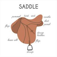 Different English Horse Saddle Parts. Infographic banner with detailed names. Equestrian tack. Equine sports informational educational poster. Vector illustration colored flat hand drawn style.